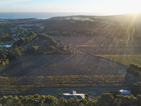 Arimia Estate Guesthouse - Accommodation Mt Buller 1