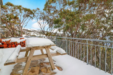 Mark II 2 West - Accommodation Mt Buller 0