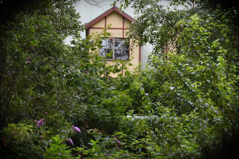 Mountain Lodge - Accommodation Mt Buller 2