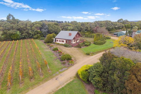 Northway Downs Estate Vineyard - Accommodation Mt Buller 3