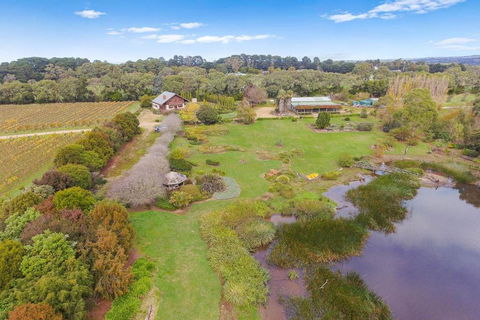 Northway Downs Estate Vineyard - Accommodation Mt Buller 2