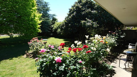 Opal Motel - Accommodation Mt Buller 2