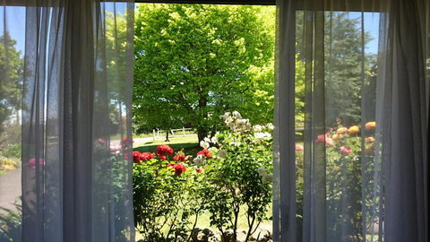 Opal Motel - Accommodation Mt Buller 1