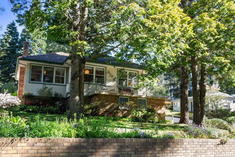 Pine Lodge - Accommodation Mt Buller 0