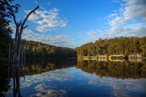 RAC Karri Valley Resort - Accommodation Mt Buller 3