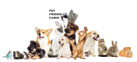 Australian Motor Homes Tourist Park - Accommodation Mt Buller 1