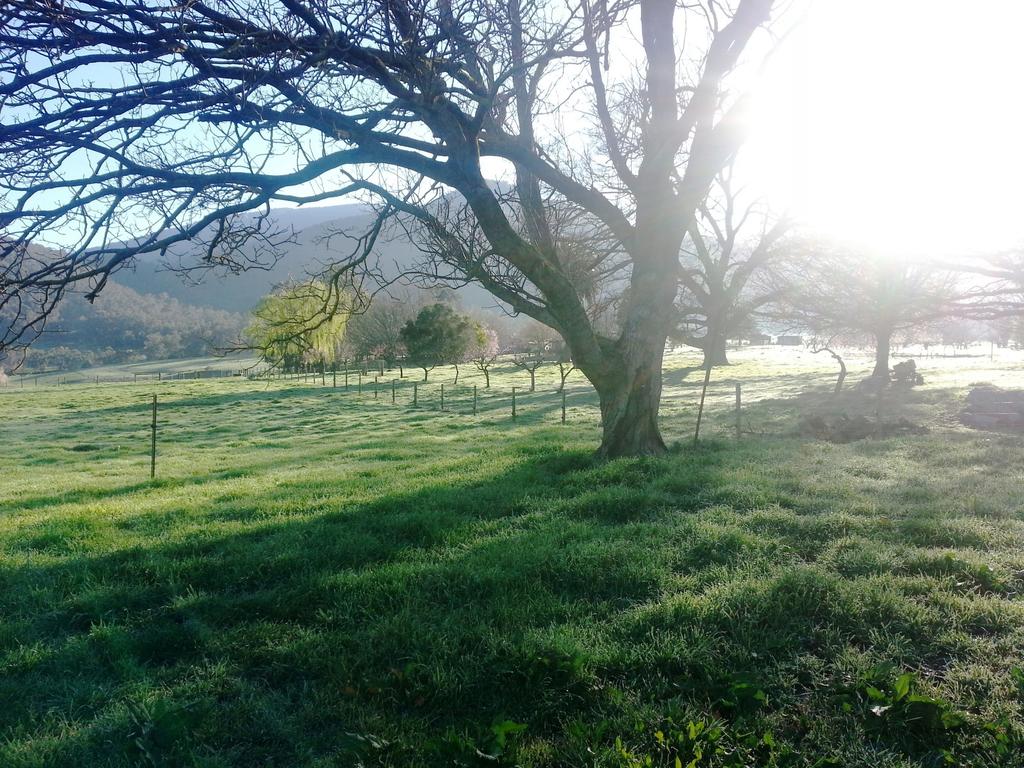 Mongans Bridge VIC Accommodation Mt Buller