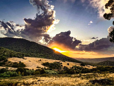 Roam Merrijig - Luxury Stay With Mountain Views - Foothills Of Mt Buller - Accommodation Mt Buller 1
