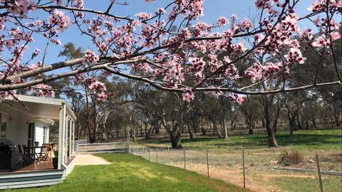 Rosewood Cottage - Accommodation Mt Buller 3