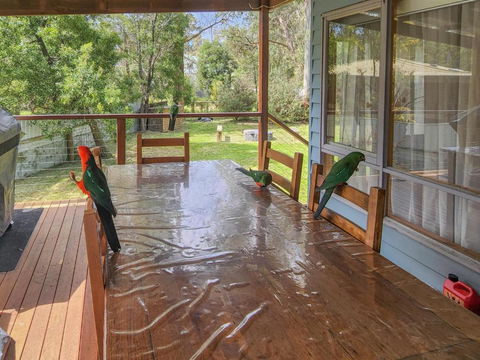 Settlement Lodge - Accommodation Mt Buller 2