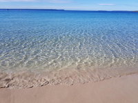 Beachside Husky Waterfront Cabin