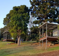 Beechmont Bean Cabins - Accommodation Mt buller