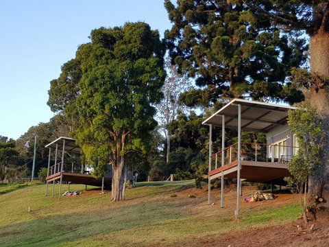 Beechmont Bean Cabins - Accommodation Mt Buller 0