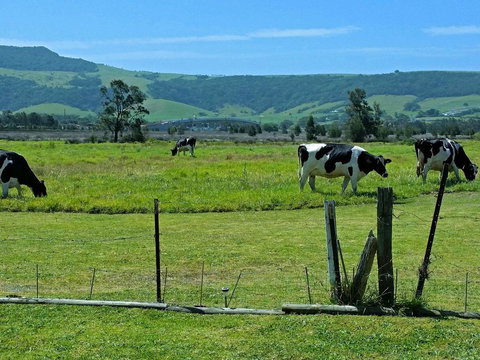 Bella Vista - Accommodation Mt buller 3