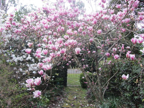 Bellawongarah At Berry - Accommodation Mt Buller 1