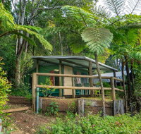 Binna Burra Rainforest Campsite - Accommodation Mt buller