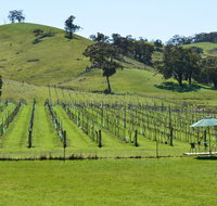 Blue House at Mountainside Wines - Accommodation Mt Buller