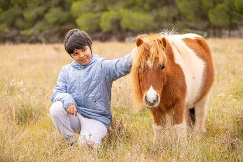 The Little Grove Retreat By Tiny Away - Accommodation Mt Buller 3