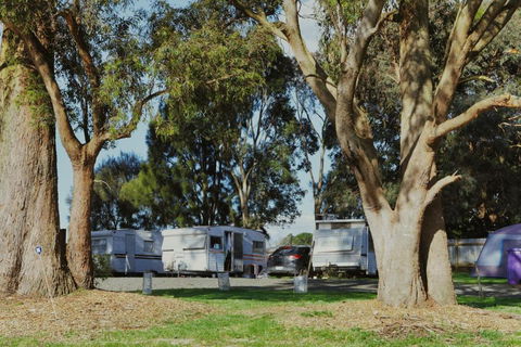 Woodmans Hill Motel - Accommodation Mt Buller 2