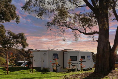 Woodmans Hill Motel - Accommodation Mt Buller 3