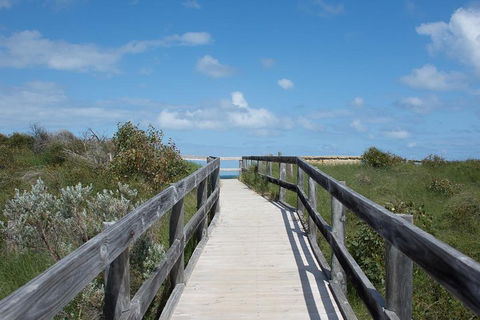 Yanchep & Lancelin - Wildlife, Cave And Sands - Accommodation Mt Buller 2
