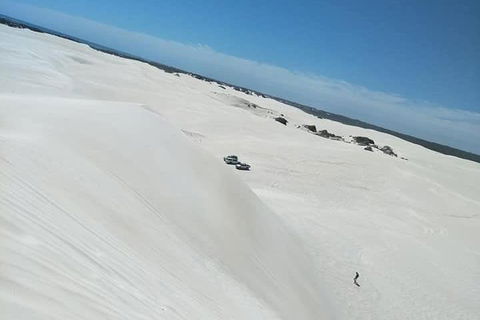 Yanchep & Lancelin - Wildlife, Cave And Sands - Accommodation Mt Buller 3