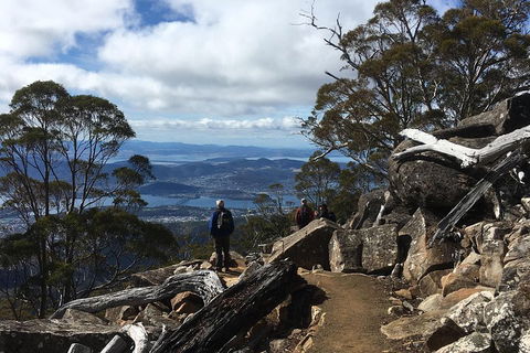 Kunanyi / Mt Wellington Explorer Bus - 2 Hour Return Tour - Accommodation Mt Buller 0
