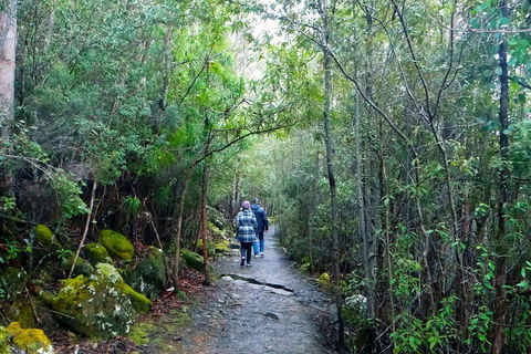 Kunanyi/Mt Wellington Tour & Hobart Hop-On Hop-Off Bus - Accommodation Mt Buller 1
