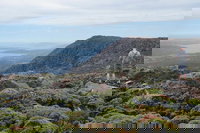 kunanyi/Mt Wellington Explorer Bus - One Way Tour, Hobart