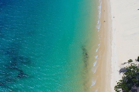 Private Tangalooma Wrecks Tour - Accommodation Mt Buller 1