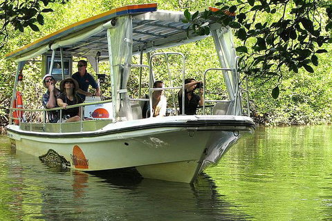 3-Day Best Of Cairns Combo: The Daintree Rainforest, Great Barrier Reef, And Kuranda - Accommodation Mt Buller 4