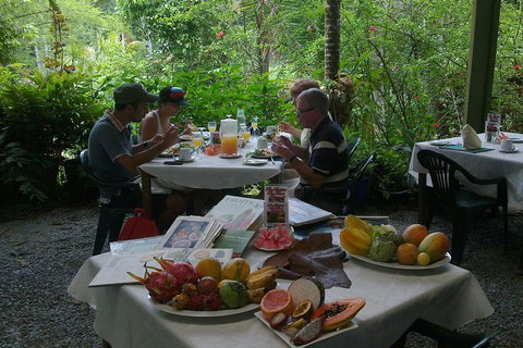 3-Day Best Of Cairns Combo: The Daintree Rainforest, Great Barrier Reef, And Kuranda - Accommodation Mt Buller 5