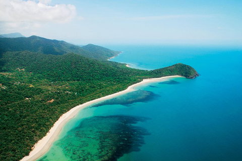 Cape Tribulation, Mossman Gorge, And Daintree Rainforest Premium Day Tour - Accommodation Mt Buller 2