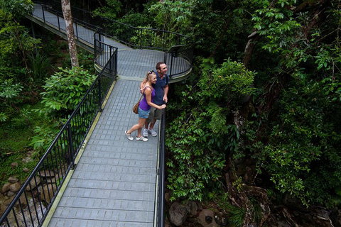 Cape Tribulation, Mossman Gorge, And Daintree Rainforest Premium Day Tour - Accommodation Mt Buller 3