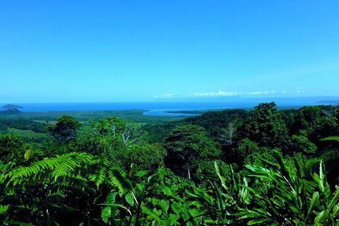 Cape Tribulation, Mossman Gorge, And Daintree Rainforest Premium Day Tour - Accommodation Mt Buller 5
