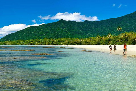 Private Daintree National Park Day Tour From Cairns Including Cape Tribulation And Mossman Gorge - Accommodation Mt Buller 0