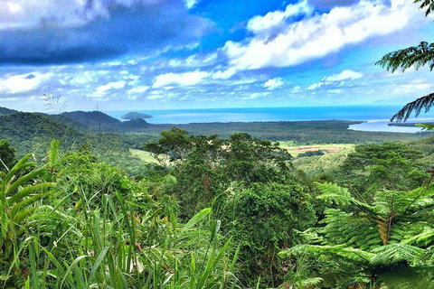 Private Daintree National Park Day Tour From Cairns Including Cape Tribulation And Mossman Gorge - Accommodation Mt Buller 2