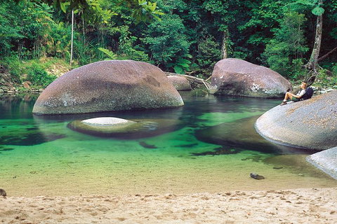 Private Daintree National Park Day Tour From Cairns Including Cape Tribulation And Mossman Gorge - Accommodation Mt Buller 4