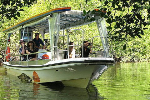 Private Daintree National Park Day Tour From Cairns Including Cape Tribulation And Mossman Gorge - Accommodation Mt Buller 5