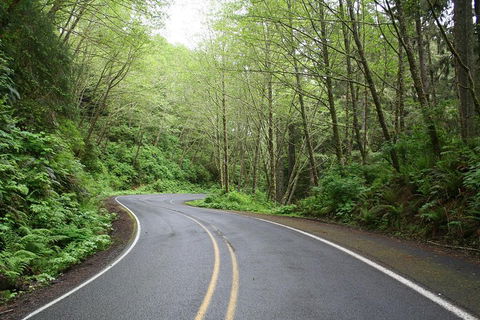 Cruise Ship Shore Excursion - Private Great Ocean Road Full Day Tour (12 Hour) - Accommodation Mt Buller 3