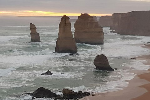 Private Express Experience - 12 Apostles - Accommodation Mt Buller 1