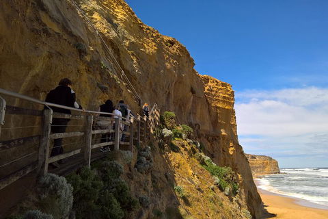 Private Express Experience - 12 Apostles - Accommodation Mt Buller 3