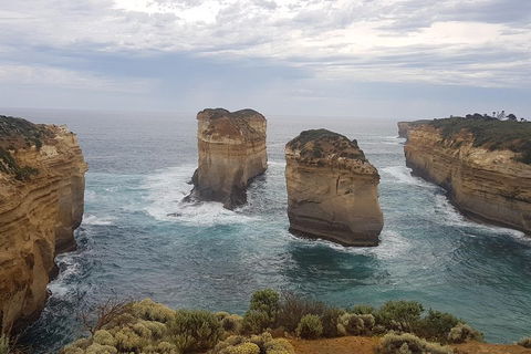 Private Express Experience - 12 Apostles - Accommodation Mt Buller 5