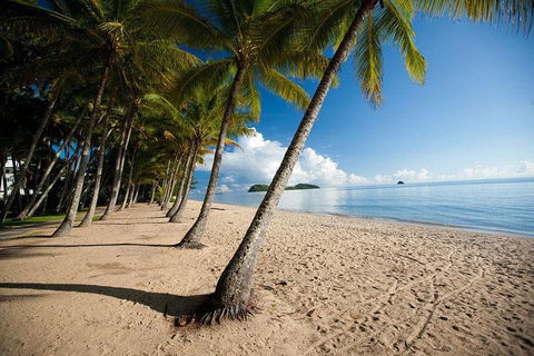 Kuranda Day Trip From Port Douglas Upgrade To Skyrail & Scenic Train Available - Accommodation Mt Buller 1