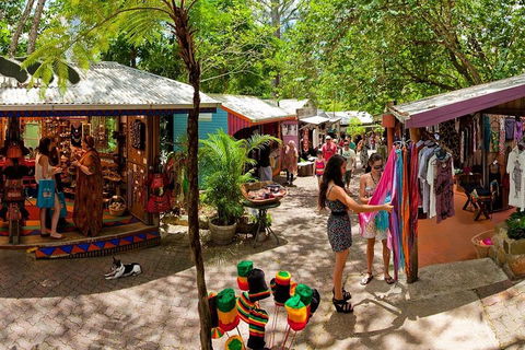 Kuranda Day Trip From Port Douglas Upgrade To Skyrail & Scenic Train Available - Accommodation Mt Buller 2
