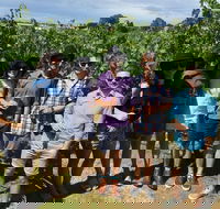 Adelaide Hills and Hahndorf - Half Day Private Tour - Accommodation Mt Buller