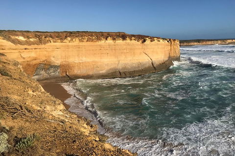 12 Apostles Tour From Warrnambool - Accommodation Mt Buller 1