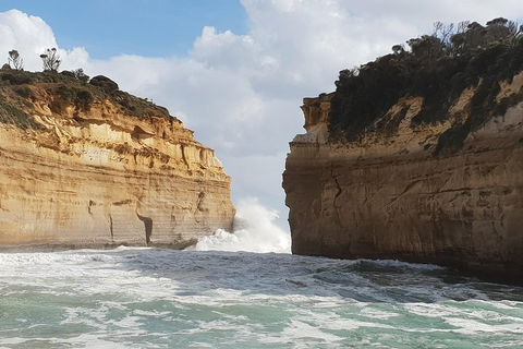 12 Apostles Tour From Warrnambool - Accommodation Mt Buller 2