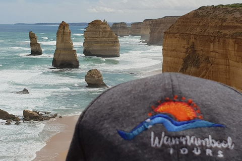 12 Apostles Tour From Warrnambool - Accommodation Mt Buller 4