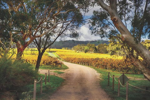 McLaren Vale Winery Small Group Tour With Wine Tasting And Lunch - Accommodation Mt Buller 1